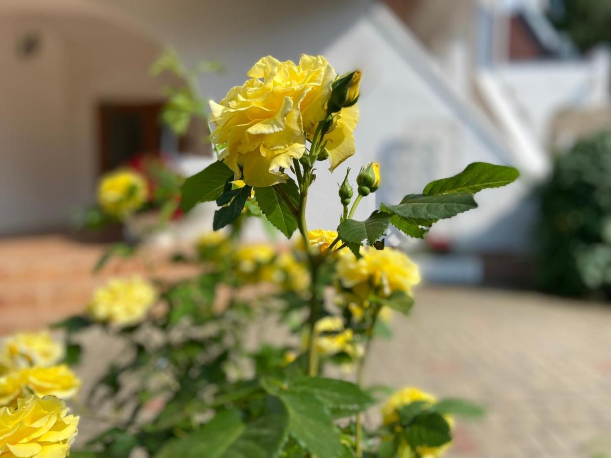 Vitrupe Karle Hotel מראה חיצוני תמונה